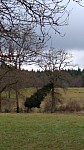 IMG-20250106-WA0002.jpg