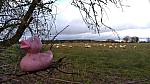 IMG-20250106-WA0006.jpg