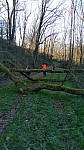 IMG-20250113-WA0002.jpg