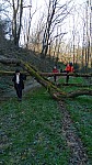 IMG-20250113-WA0003.jpg