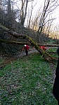 IMG-20250113-WA0004.jpg
