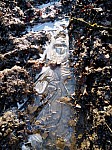 IMG-20250113-WA0005.jpg
