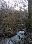 IMG-20250113-WA0006.jpg