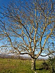 IMG-20250113-WA0007.jpg