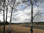 IMG_20250131_135933.jpg