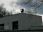 IMG_20250131_141559.jpg