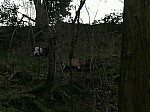 IMG_20250131_142113.jpg