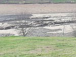 IMG_20250131_143125.jpg