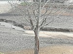 IMG_20250131_143133.jpg