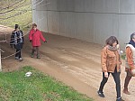 20250207_140921.jpg