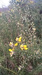 IMG-20250210-WA0005.jpg