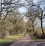 IMG_20250210_173602.jpg