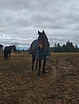 IMG_20250210_173714.jpg
