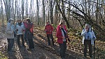 IMG-20250217-WA0001.jpg
