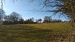 IMG-20250217-WA0005.jpg