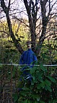 IMG-20250217-WA0010.jpg