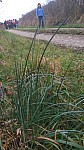 IMG-20250224-WA0009.jpg
