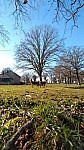 IMG-20250203-WA0000.jpg