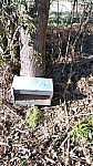 IMG-20250203-WA0008.jpg