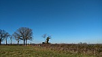 IMG-20250203-WA0013.jpg