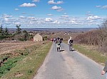 IMG_20250310_141107.jpg