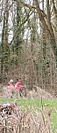 image0000010.jpg