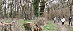 image0000020.jpg