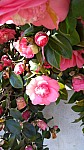 IMG-20250324-WA0011.jpg