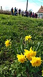 IMG-20250324-WA0017.jpg