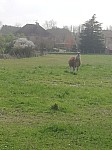 IMG_20250328_141904.jpg