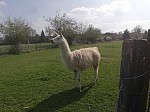 IMG_20250328_141932.jpg