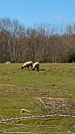 IMG-20250331-WA0000.jpg