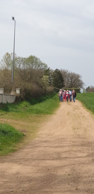 20250404_150643.jpg