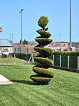 20250404_140345.jpg
