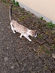 20250404_141811.jpg