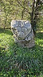 20250407_094519.jpg