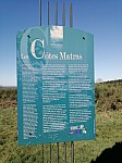 IMG_20250407_114039.jpg