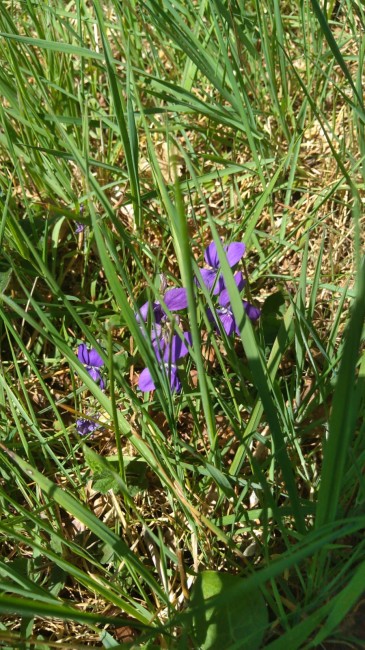 IMG-20250407-WA0010.jpg