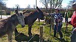 IMG-20250407-WA0005.jpg