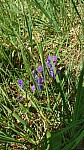 IMG-20250407-WA0010.jpg