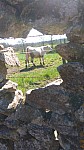 IMG-20250407-WA0012.jpg