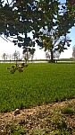 IMG-20250407-WA0016.jpg