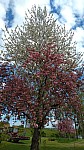 IMG-20250414-WA0002.jpg