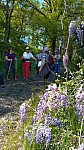 IMG-20250414-WA0004.jpg