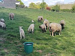 IMG_20250414_154809.jpg