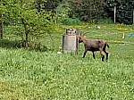 20250425_140205.jpg