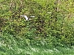 20250425_140311.jpg