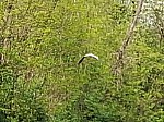 20250425_140312.jpg