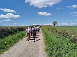 IMG_20250428_135315.jpg