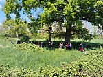 IMG_20250428_141623.jpg